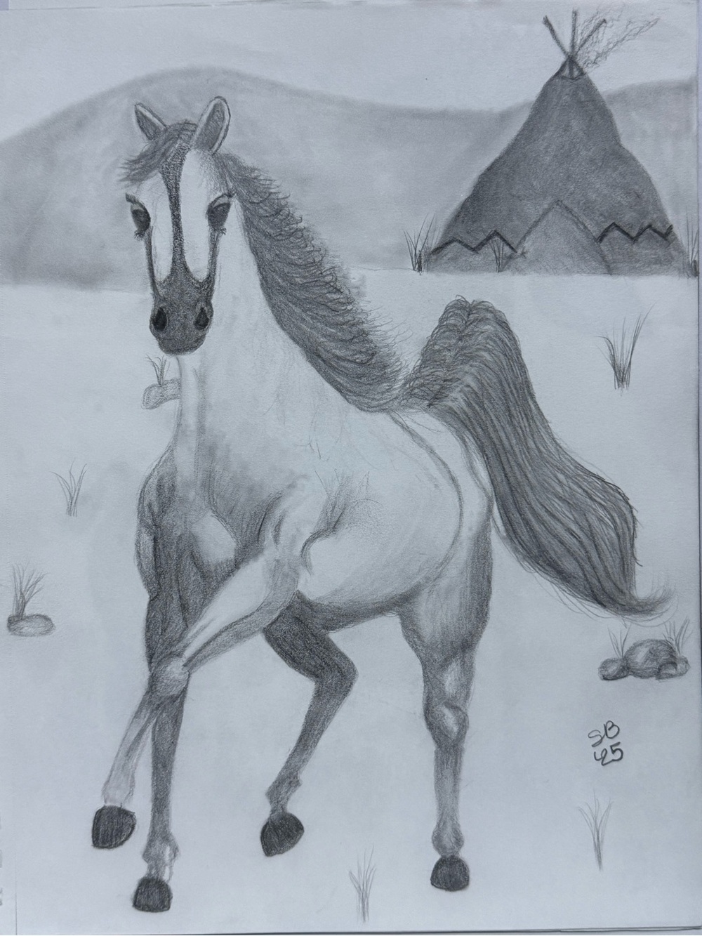 Hand-Drawn Horse Graphite Sketch Art Print in Gray